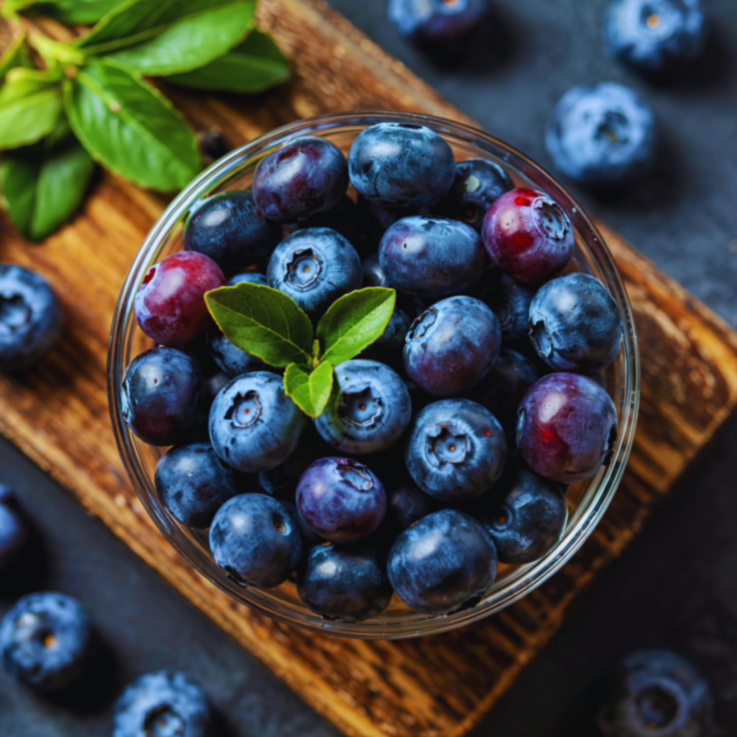 Sweet Blueberry Plant, Blueberry Bushes Live Plant, Fruit Bearing Bushes, 2 Gallon Pot, Outdoor Garden Plant, No Ship to CA