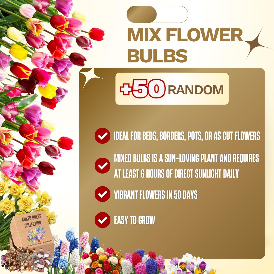 Flower Bulbs for Fall Planting, Top-Size Bulbs with 5 Varieties for Colorful Spring Blooms, Continuous 50 Days of Colorful Blooms (Mixed Flower Bulbs)
