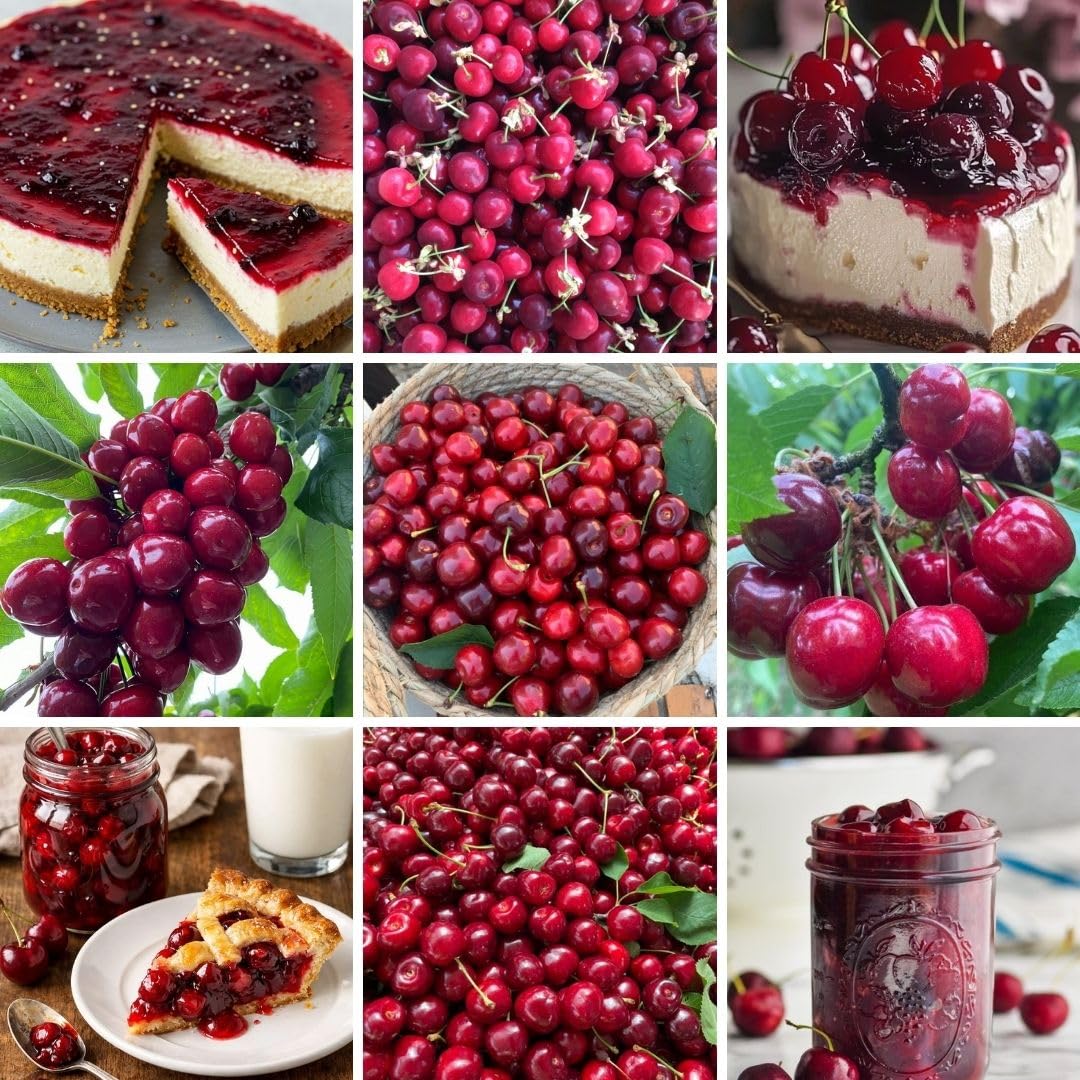 Bright Red Cherry Trees Live Plants 3-4 Feet Tall, Sweet Cherry Fruit Plants Live 3 Gallon Pot, Hardy Fruit Trees for Planting, No Ship to CA