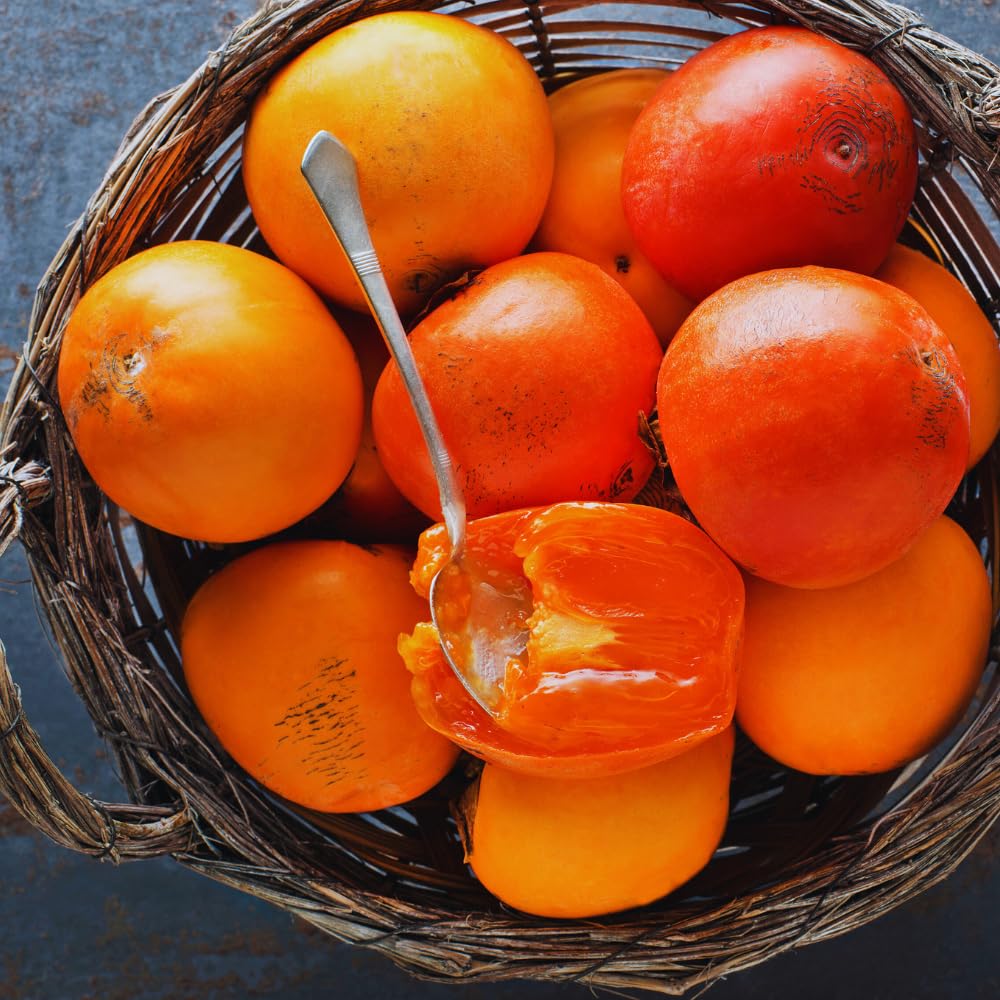 Persimmon Tree Live Plant, Sweet Persimmon Plant Live, 1 Feet Tall