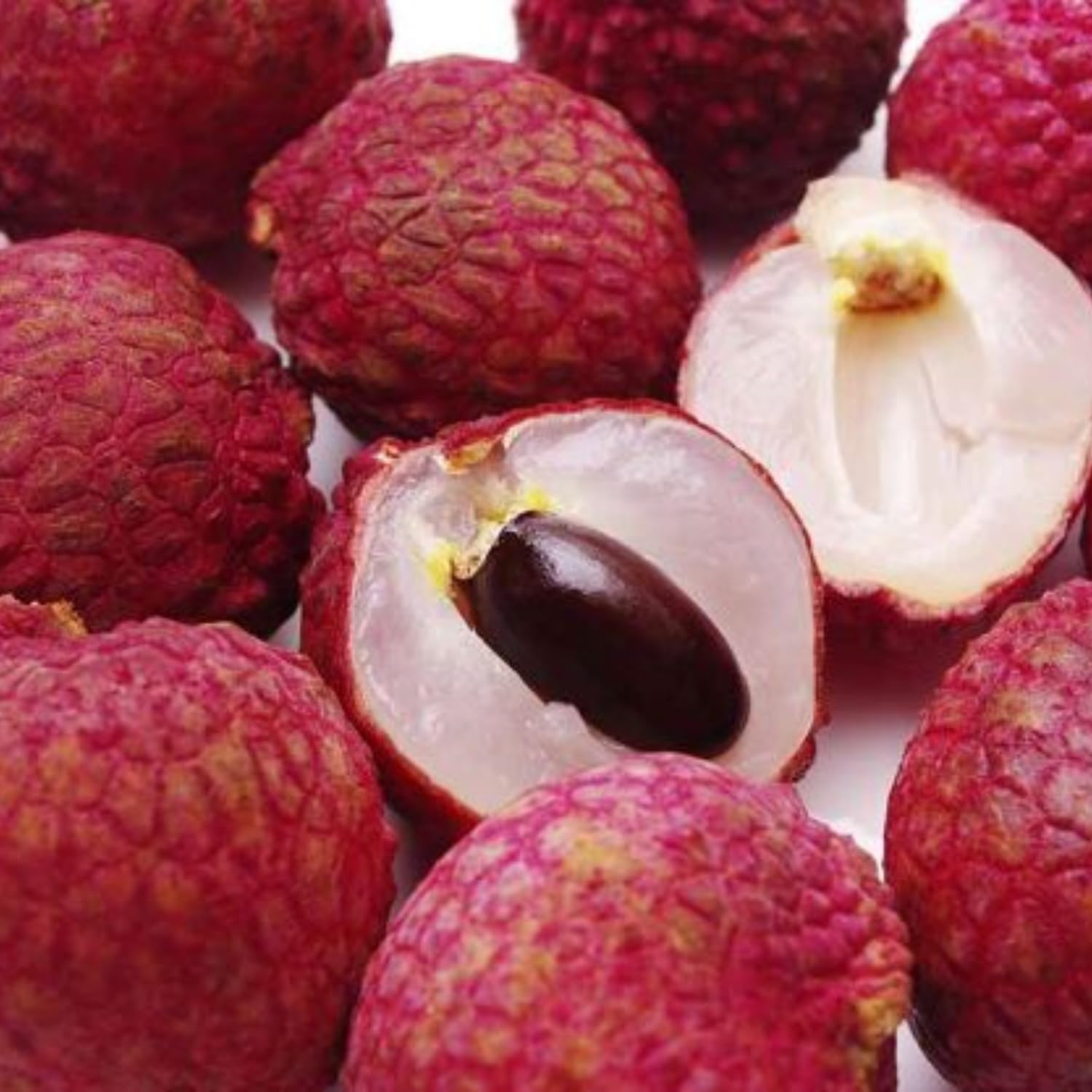 Lychee Tree Live Plant, Sweet Lychee Fruit Tree, Tropical Fruit for Edible Garden, 3-4 Ft in 3 Gallon Pot, No Ship to CA