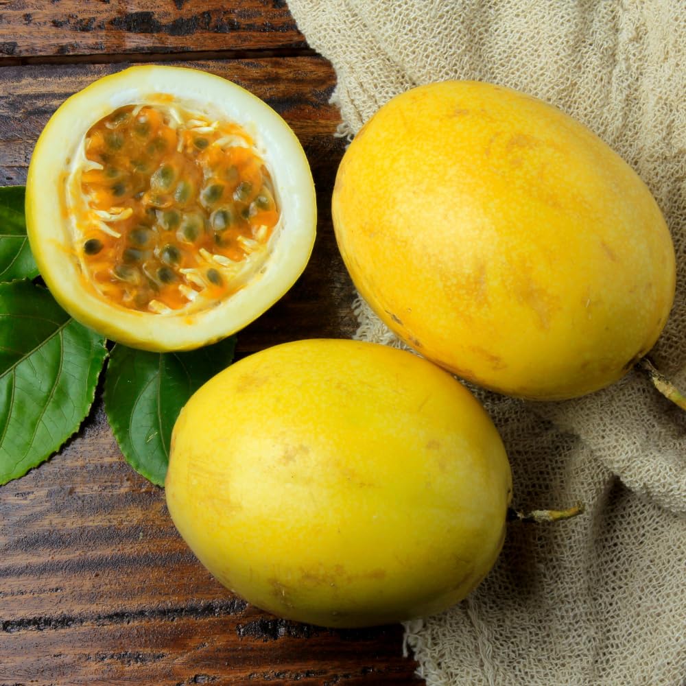Yellow Passion Fruit Plant Live, Passionfruit Vine 4-6 Inch Tall, Edible Fruit Tree, Outdoor Garden