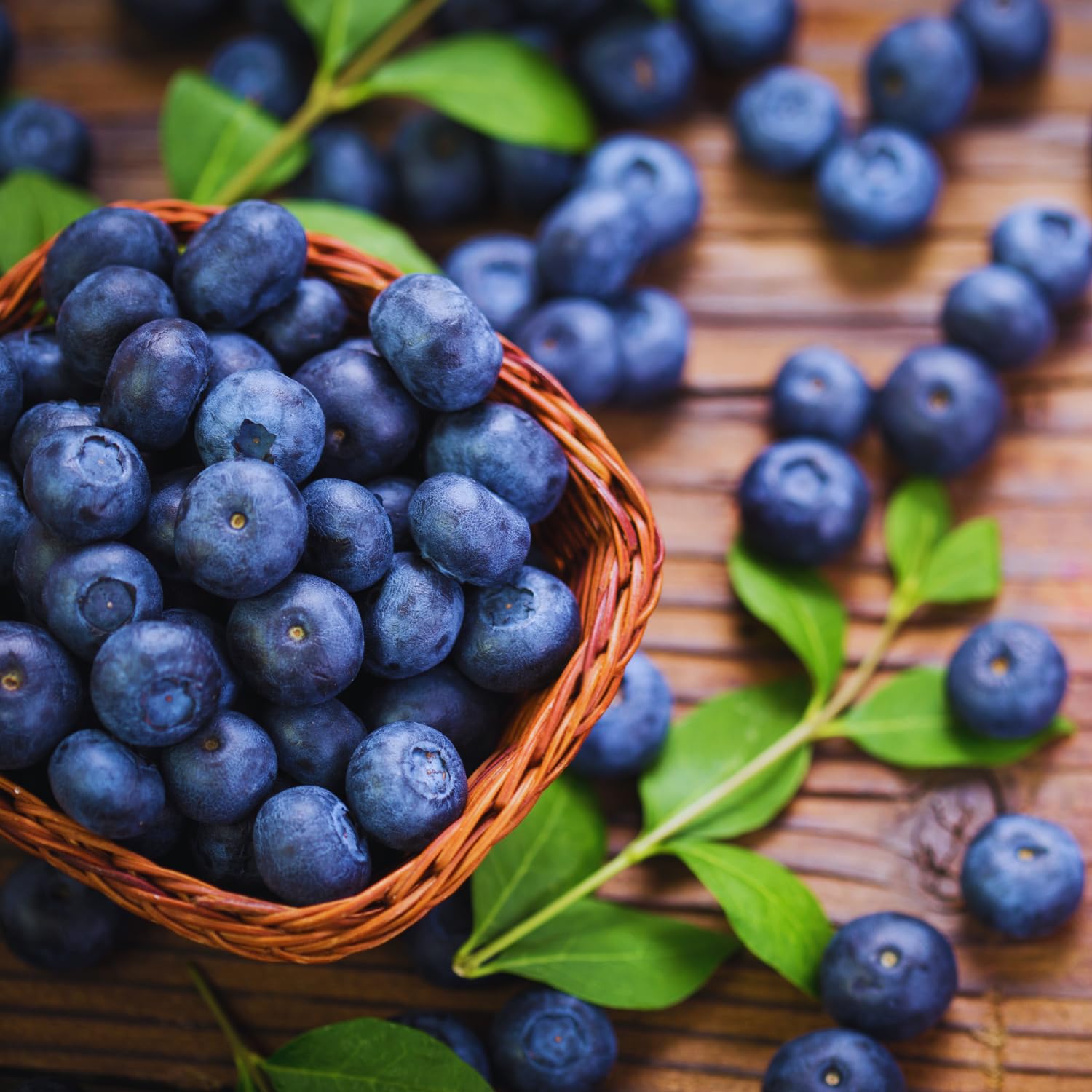 Blueberry Bush Live Plant, Sweet Blueberry Plant, Fruit Bearing Bushes, Tropical Garden Plant Patio Backyard Orchard, 1 Gallon Pot, No Ship to CA