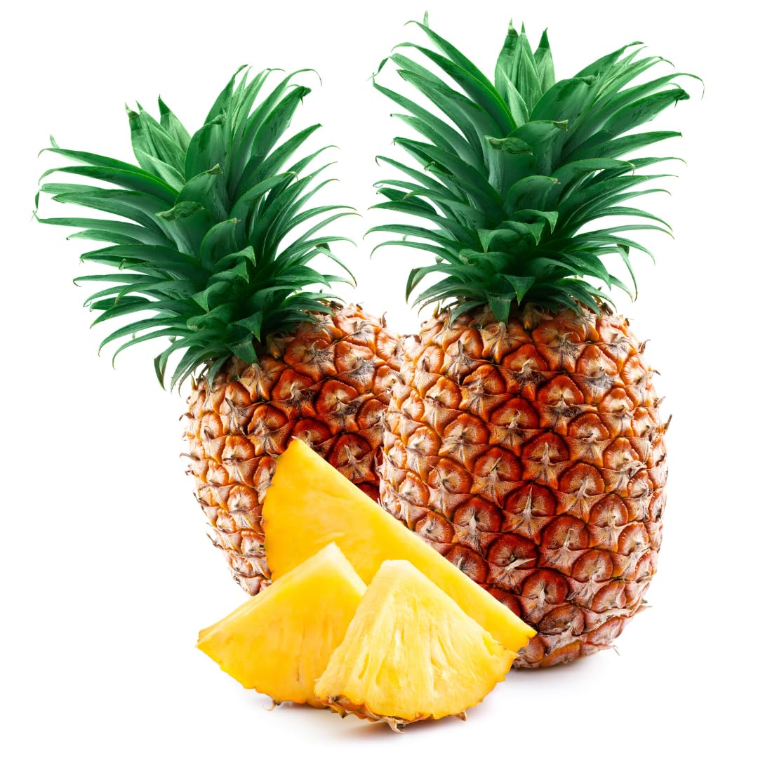 2 Elite Gold Pineapple Plants Live Bushes Shrubs Trees for Planting Outdoor, Fragrant and Sweet Pineapple, Tropical Fruit, 5 to 7 Inces Tall, No Pot