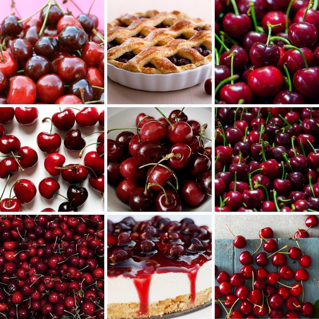 Deep Red Cherry Trees Live Plants 3-4 Feet Tall, Sweet Cherry Fruit Plants Live 3 Gallon Pot, Hardy Fruit Trees for Planting, No Ship to CA