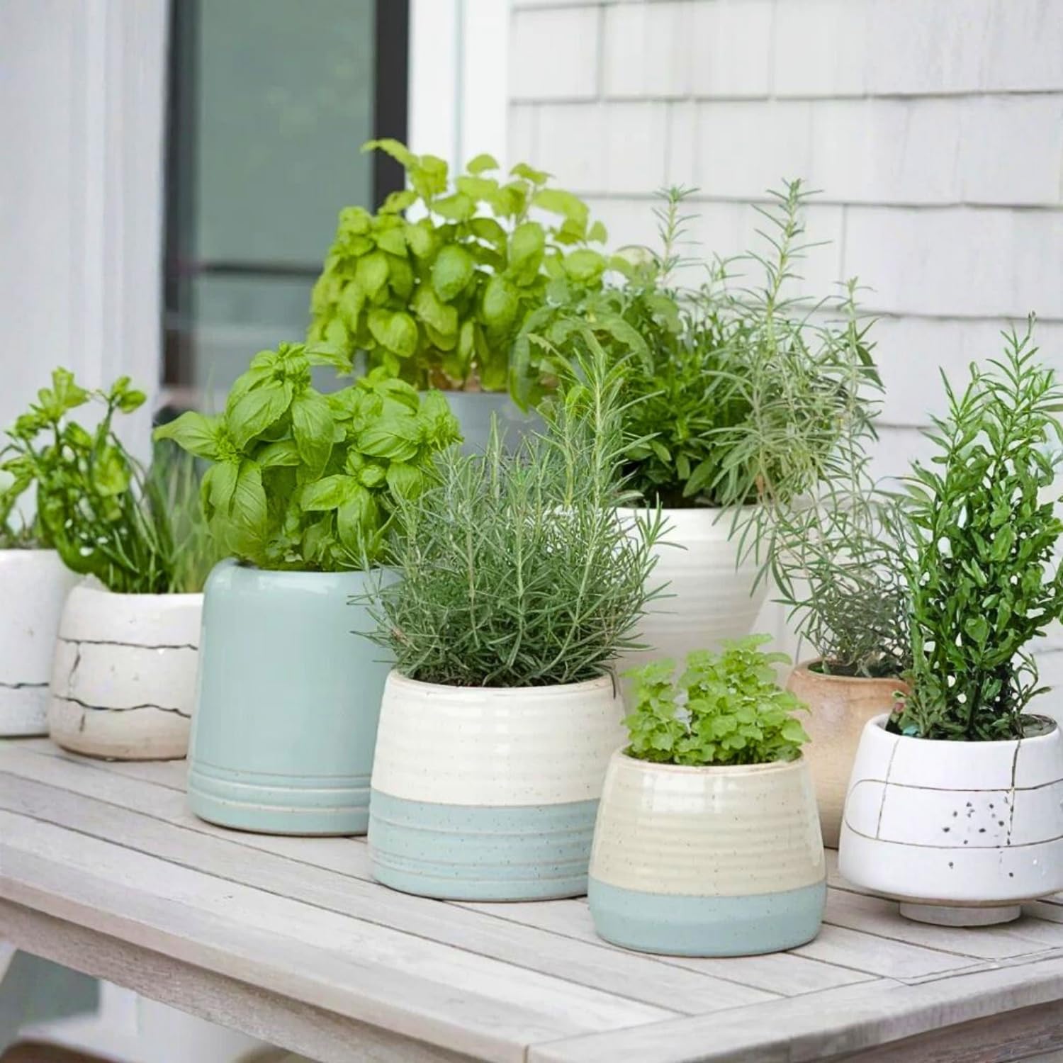 4 Mix Herb Plants Live, Edible and Fragrant Herb Assortment 4-8'' Tall (Lemon Balm, Mint, Rosemary, Other Assorted Herbs), Fresh Herbs for Containers and Gardens, No Pot