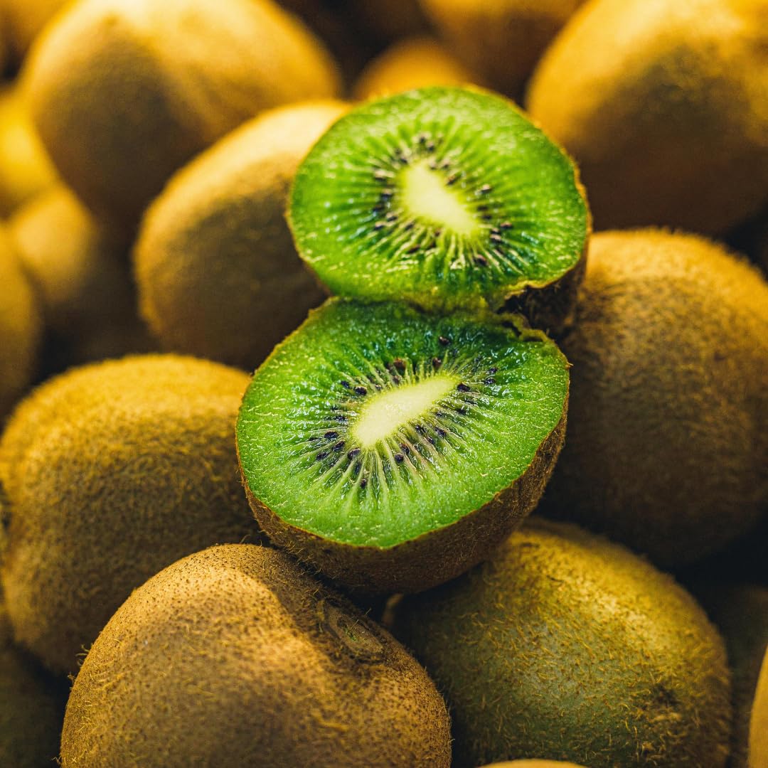 Hardy Kiwi Live Plant, Trellis Fruit Vine Plant, 4-8 Inch Tall