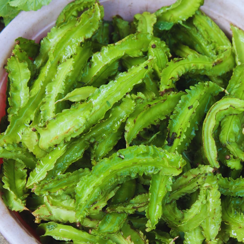 50 Winged Bean Seeds for Planting, Vegetable Seeds, Heirloom Seed