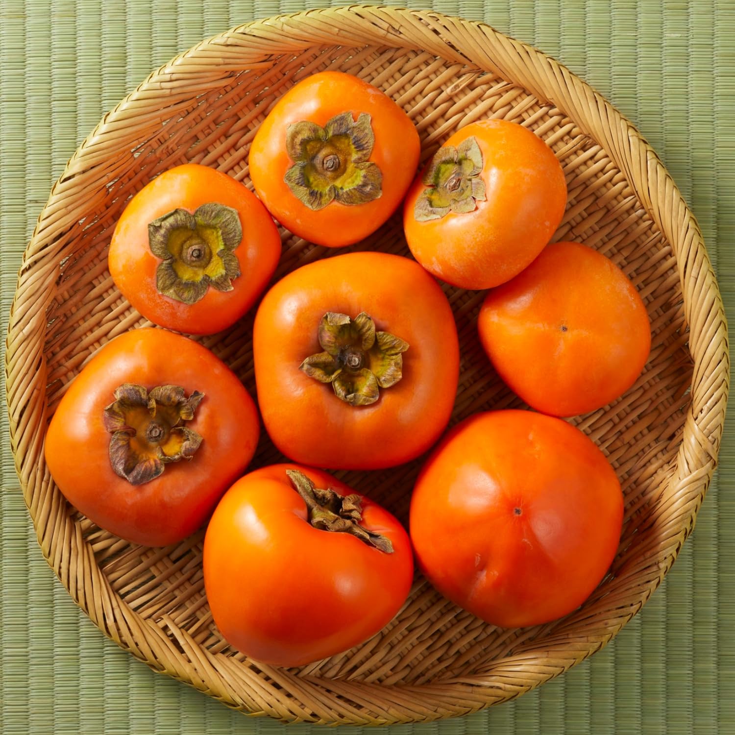 Sweet Persimmon Tree Live Plant, Bare Roots, Dormant, 1 Year Old Seedlings 8-12" in Tall, No Leaf, No Pot, Cold Hardy, Spring Bud-Break