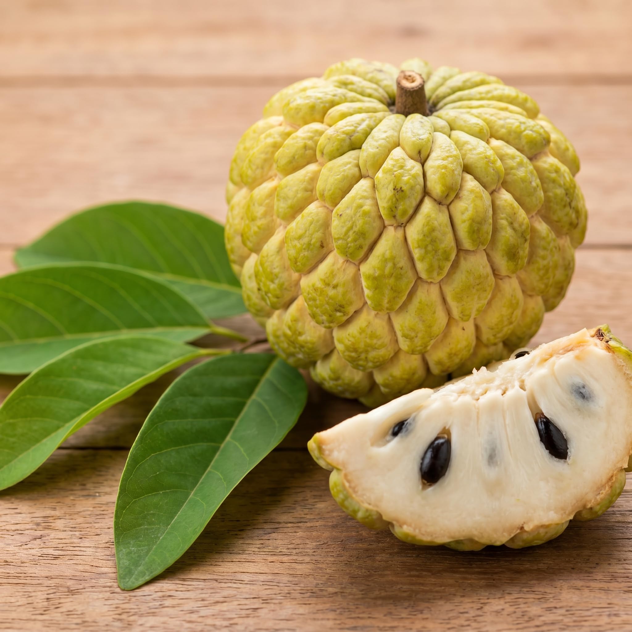 Sugar Apple Tree 2-3 Feet Tall in 3 Gallon Pot, Sweet Tropical Fruit Tree, Backyard and Container Planting, No CA (Yellow Sugar Apple)