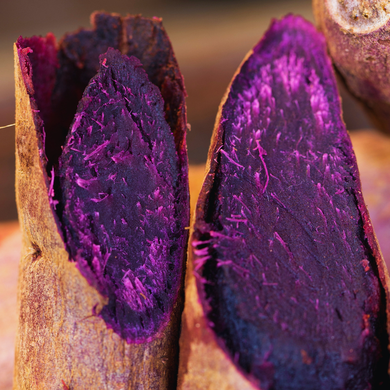 10 Purple Potato Slips for Planting, Potato Cuttings Vegetable Vine Garden, 4-6 Inc