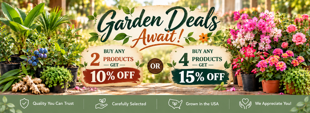 Garden deals: buy 2 get 10% off, buy 4 get 15% off