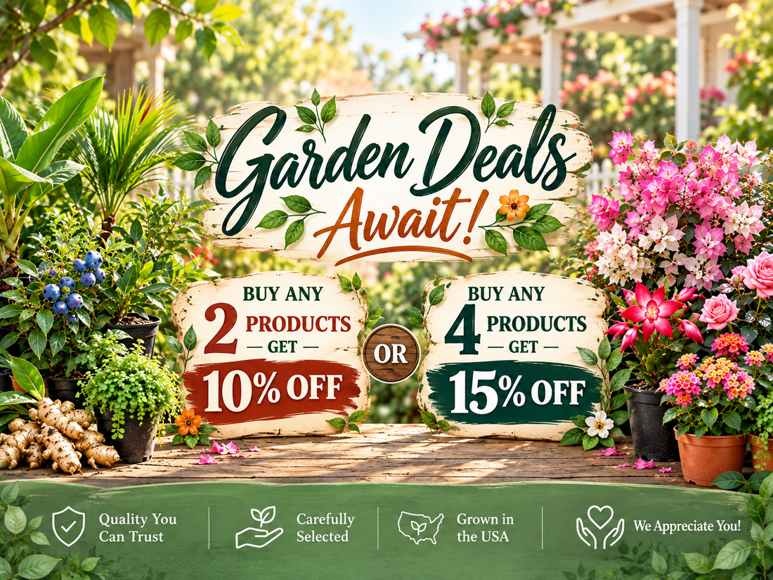 Garden deals: buy 2 get 10% off, buy 4 get 15% off