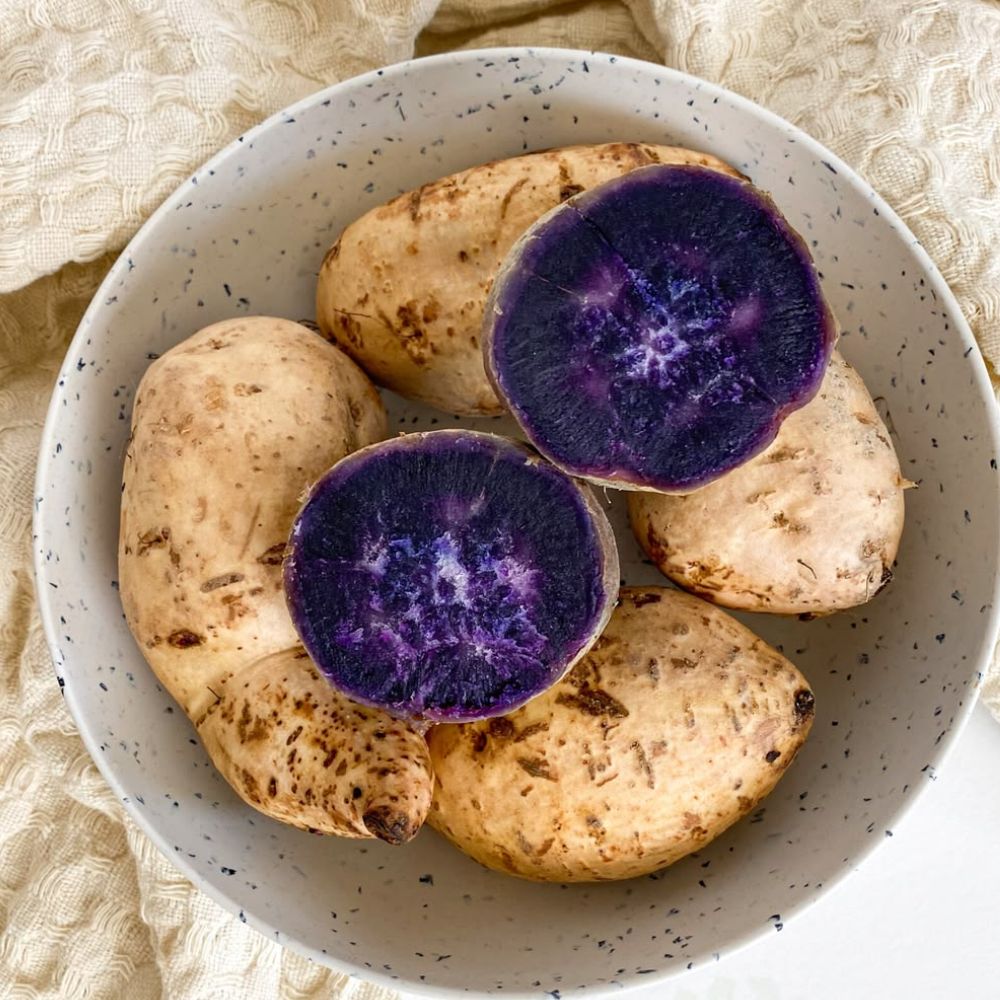 10 Okinawa Purple Sweet Potato Slips for Planting