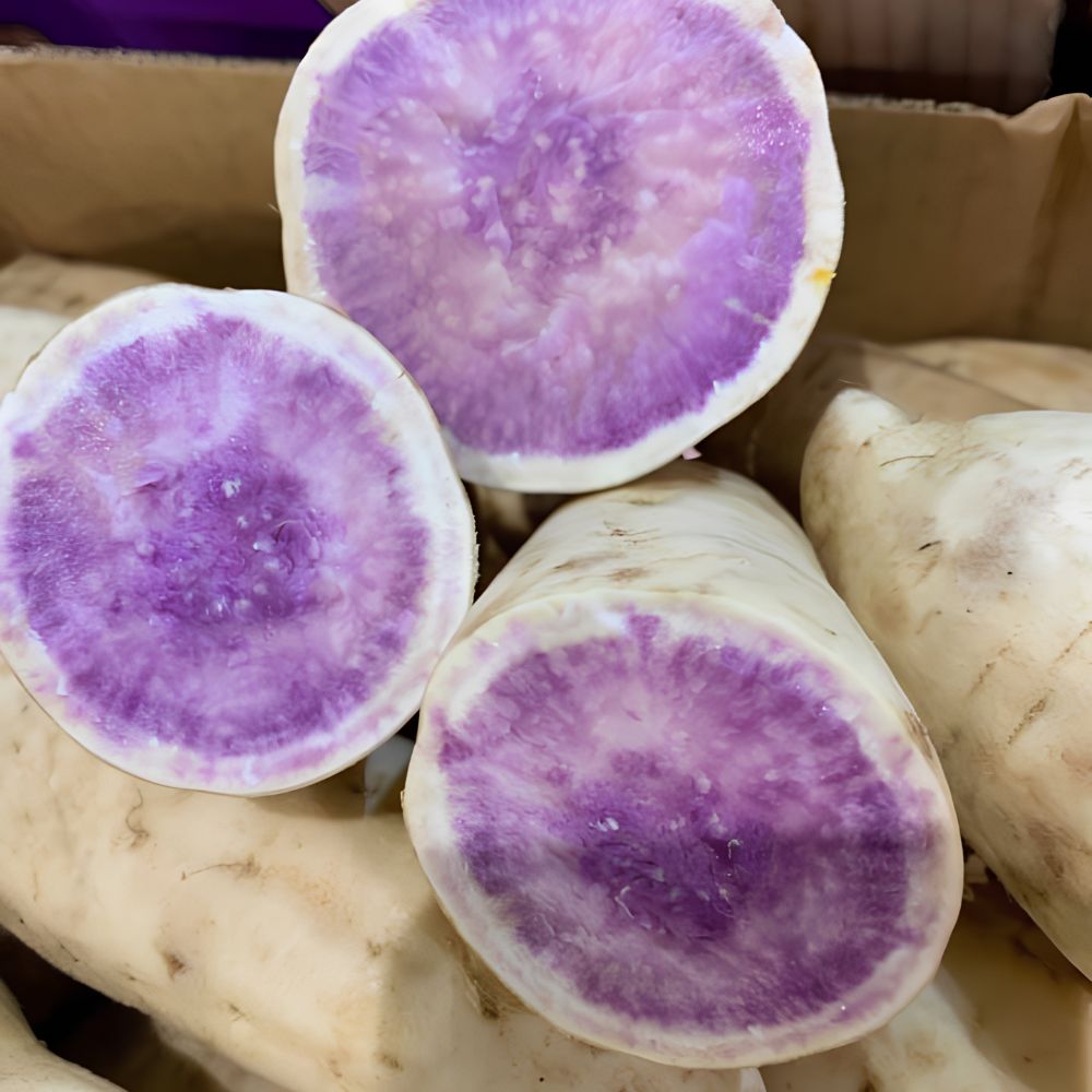 Set of 10 Okinawa Purple Sweet Potato Slips