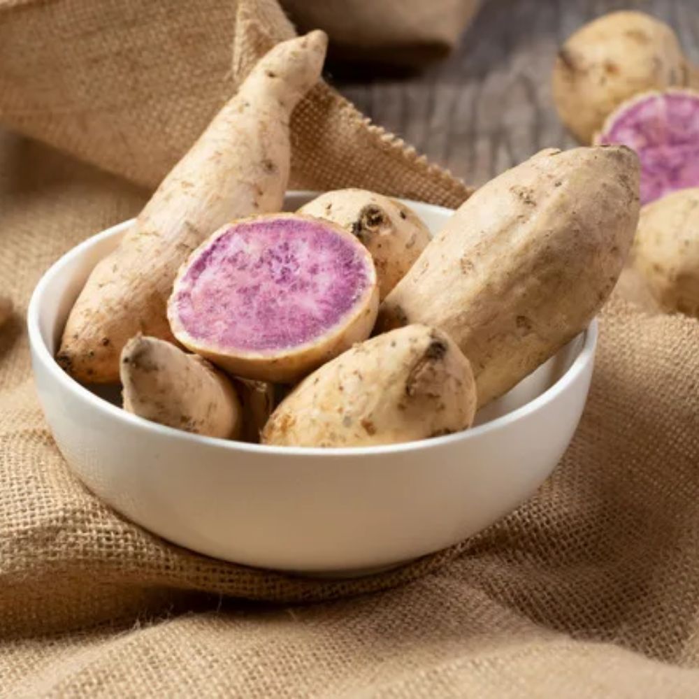 Set of 10 Okinawa Purple Sweet Potato Slips